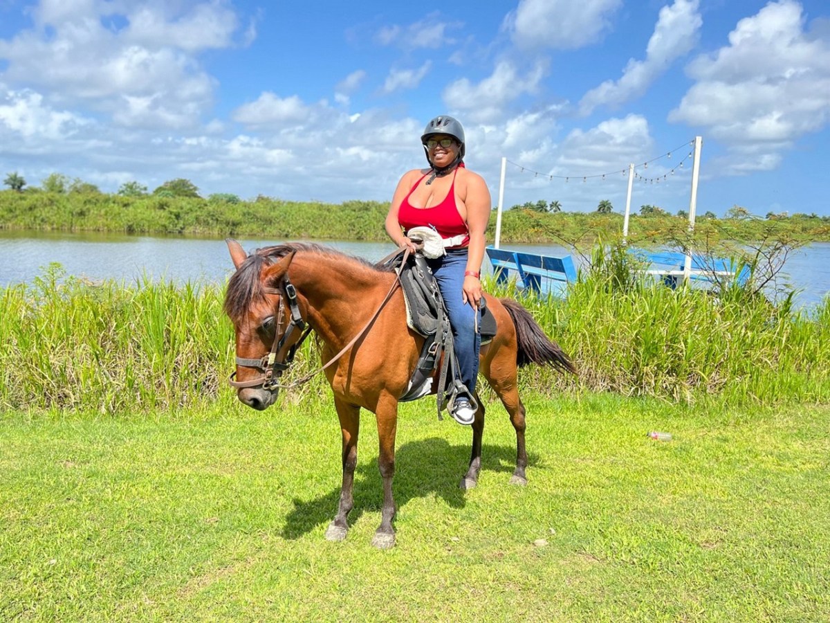 Person in red top riding a brown horse near a lake and grassy area.