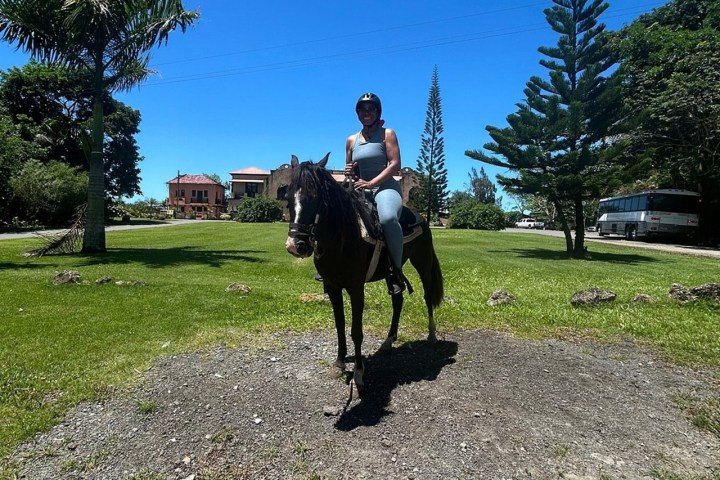 Person riding a horse on a grassy area with trees and buildings in the background.