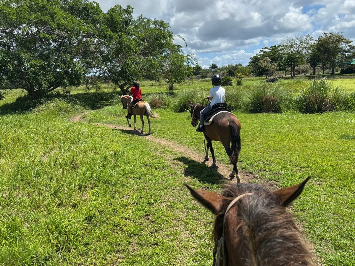 Three people horseback riding on a grassy path under a partly cloudy sky.