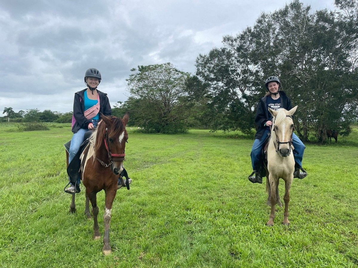 Two people on horses in a grassy field with trees in the background, under a cloudy sky.