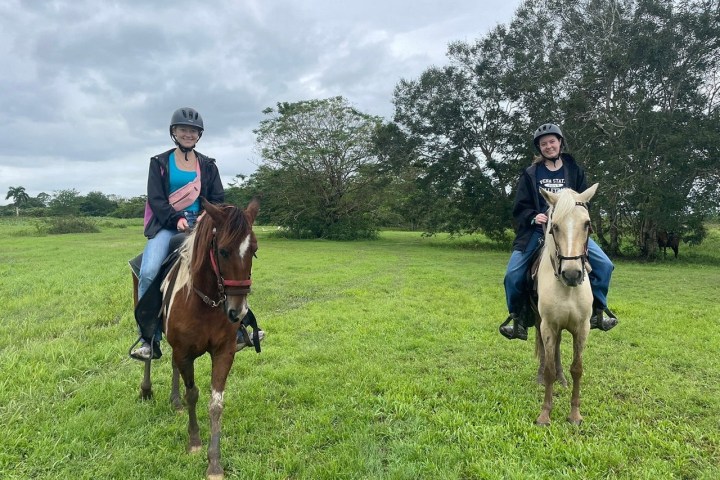 Two people on horses in a grassy field with trees in the background, under a cloudy sky.