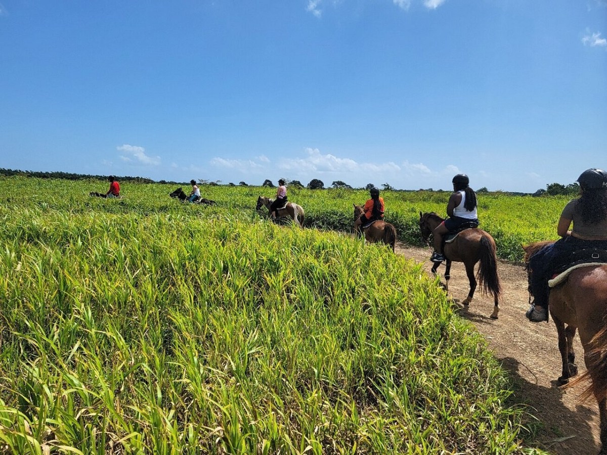 Group of people horseback riding on a grassy trail under a clear blue sky.