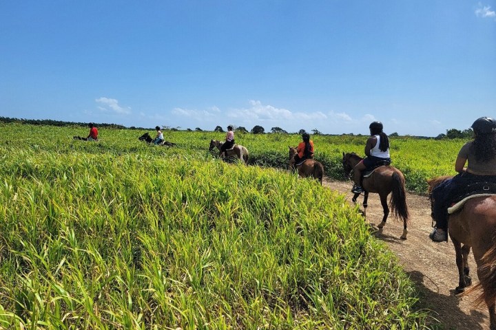 Group of people horseback riding on a grassy trail under a clear blue sky.