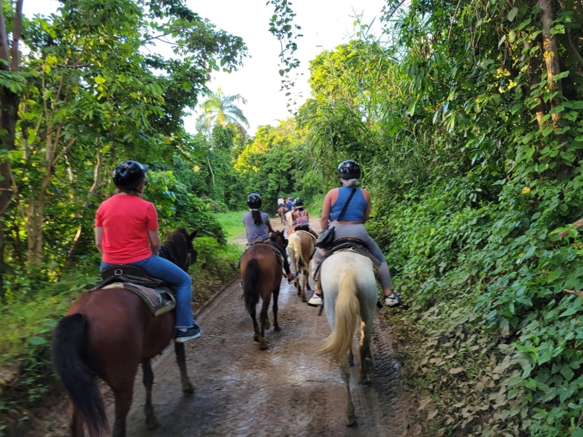 People riding horses on a dirt path through a lush green forest.