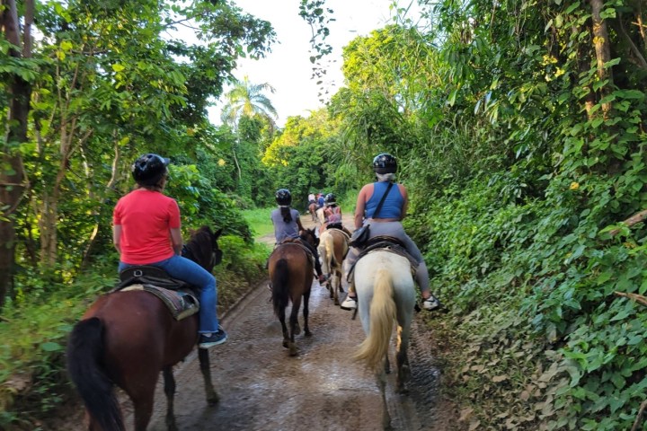 People riding horses on a dirt path through a lush green forest.