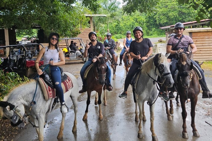 Group of people riding horses on a path surrounded by greenery.