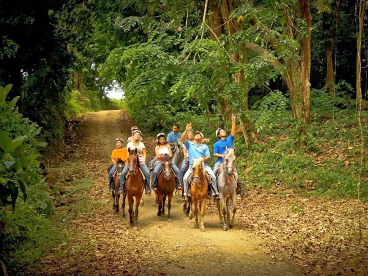 Group of people riding horses on a forest trail, surrounded by lush greenery.