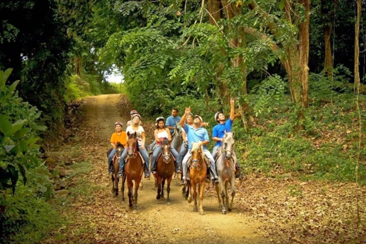 Group of people riding horses on a forest trail, surrounded by lush greenery.