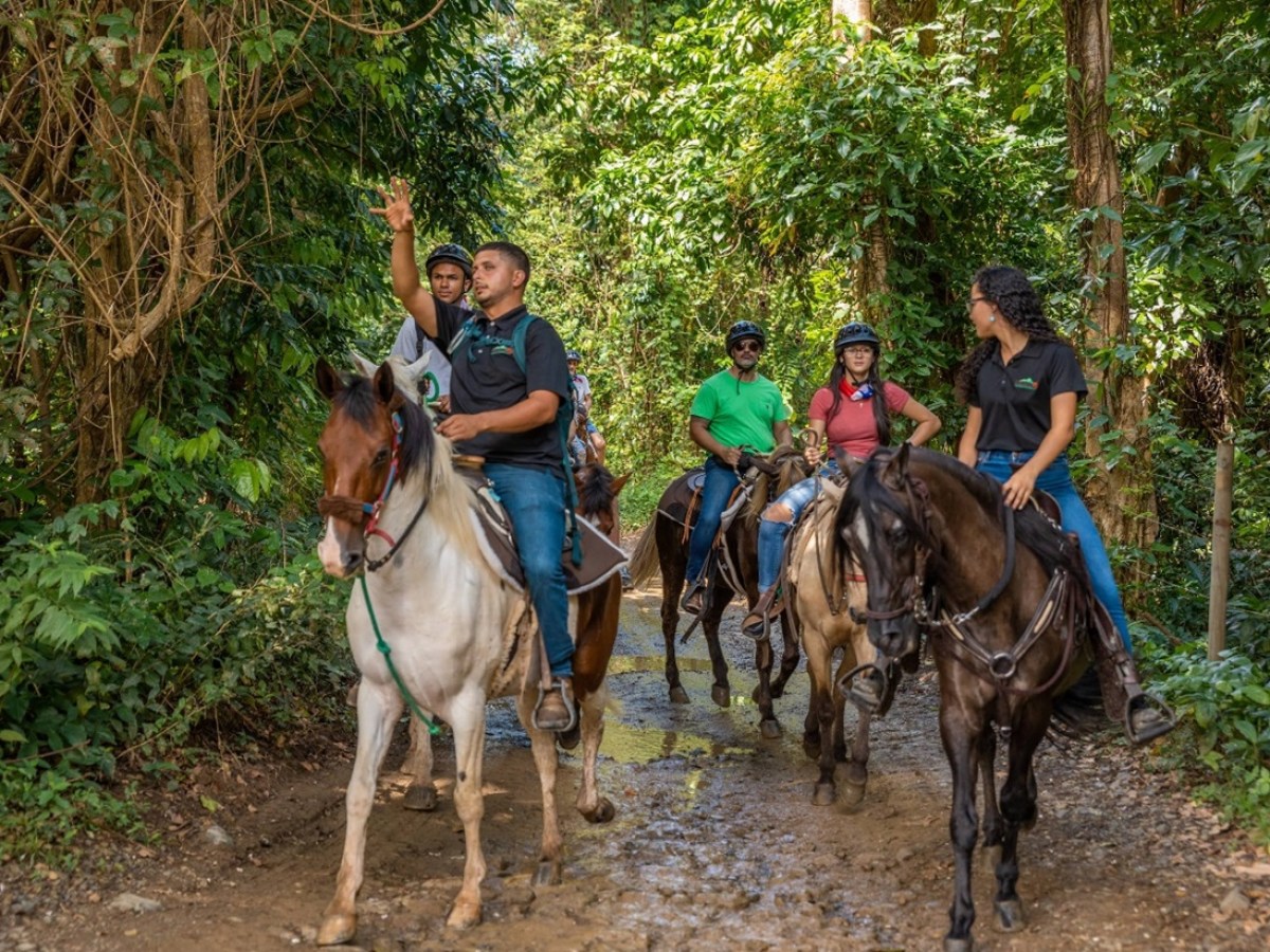 Group of people riding horses on a forest trail surrounded by lush greenery.