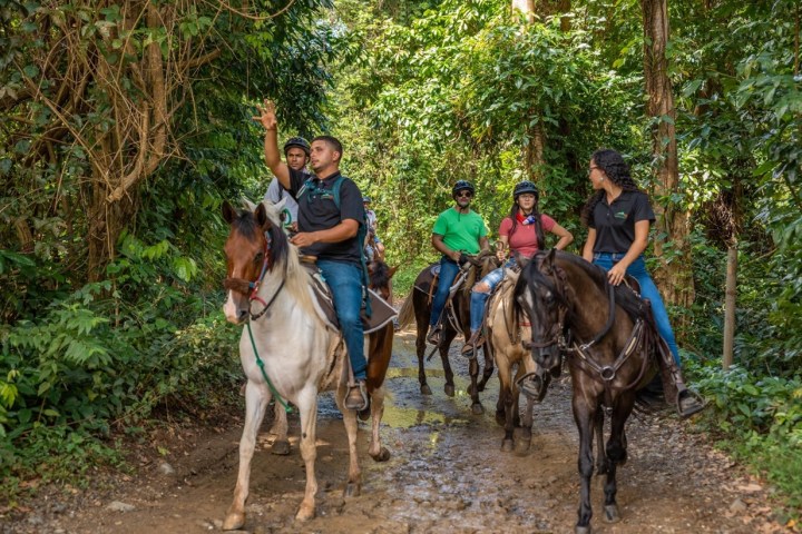 Group of people riding horses on a forest trail surrounded by lush greenery.