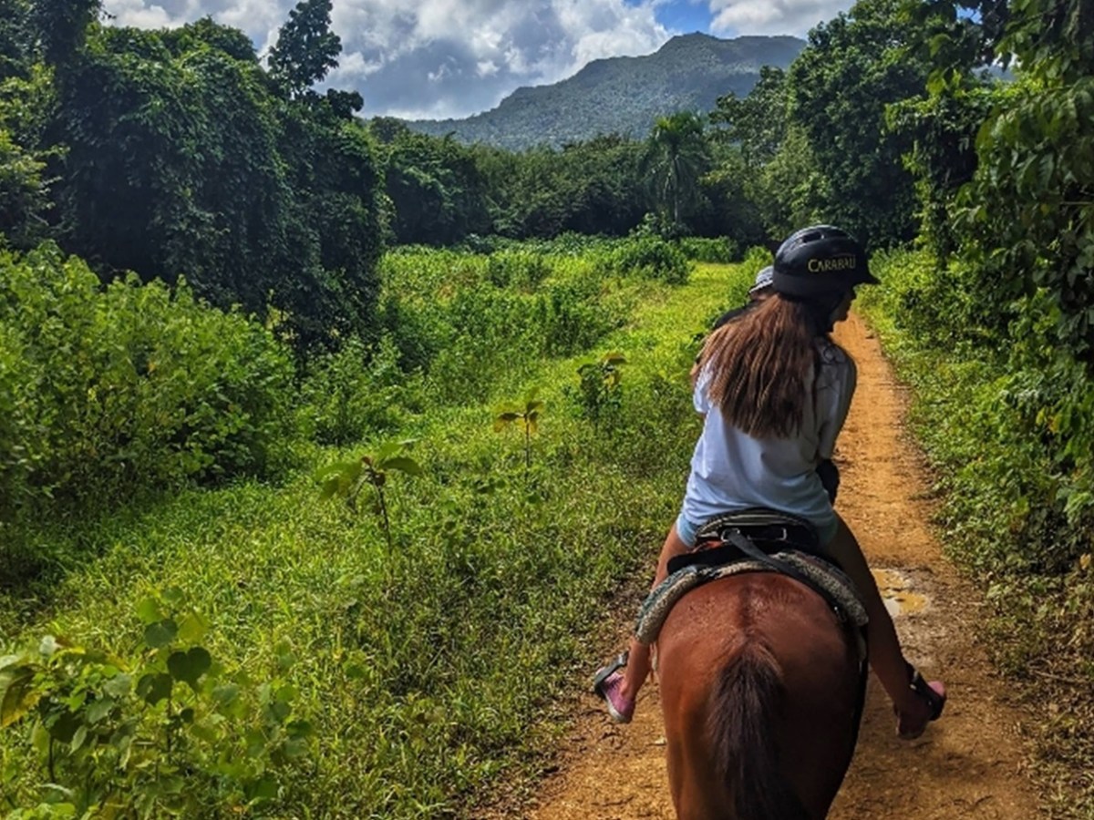 Person riding a horse on a dirt path through lush green forest with mountains in the background.