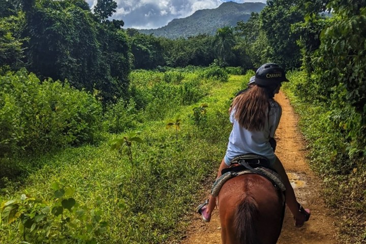 Person riding a horse on a dirt path through lush green forest with mountains in the background.