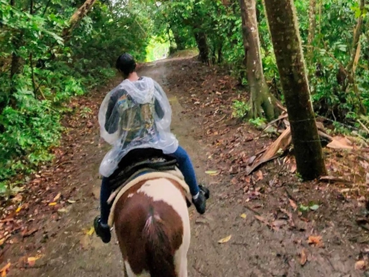 Person in a rain poncho riding a horse on a forest trail.