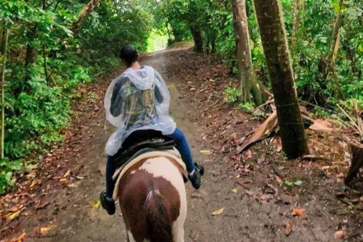 Person in a rain poncho riding a horse on a forest trail.