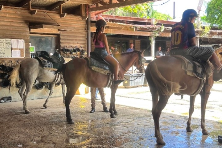 Two people on horses inside a wooden stable, facing away from the camera.