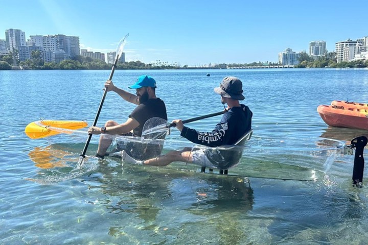 Two people kayaking in a clear kayak on a sunny day near a city waterfront.