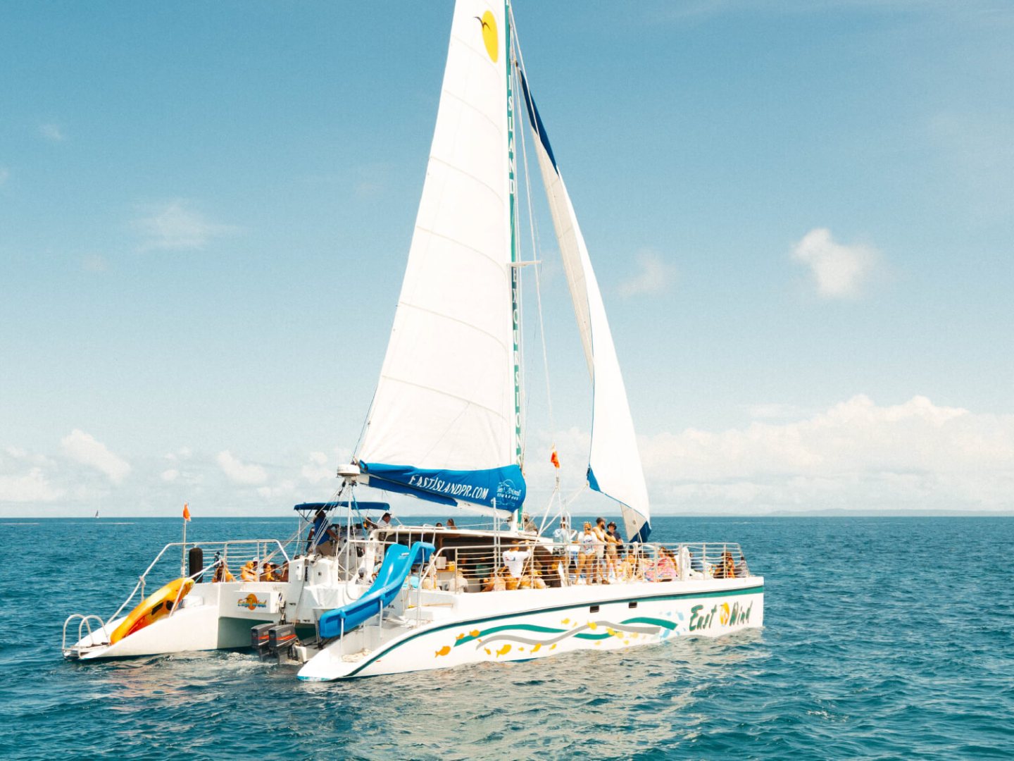 Catamaran with sails on the ocean under a clear sky.
