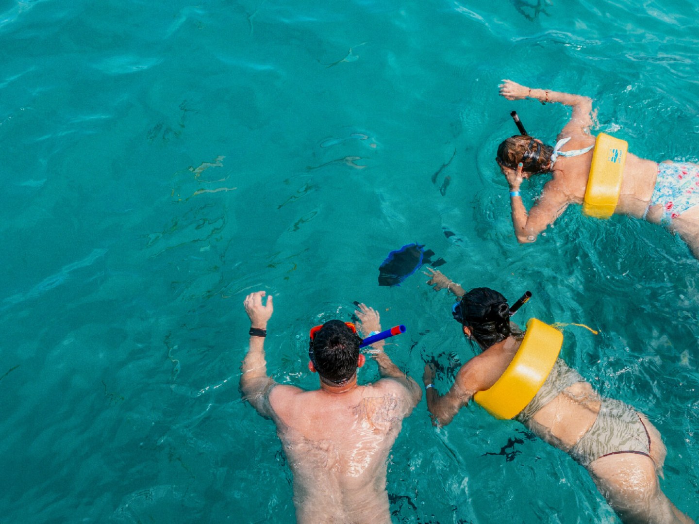 Three people snorkeling in clear blue water with snorkeling gear and life vests.